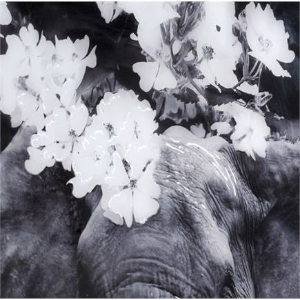 Coco Maison Flower Elephant print 100x68cm